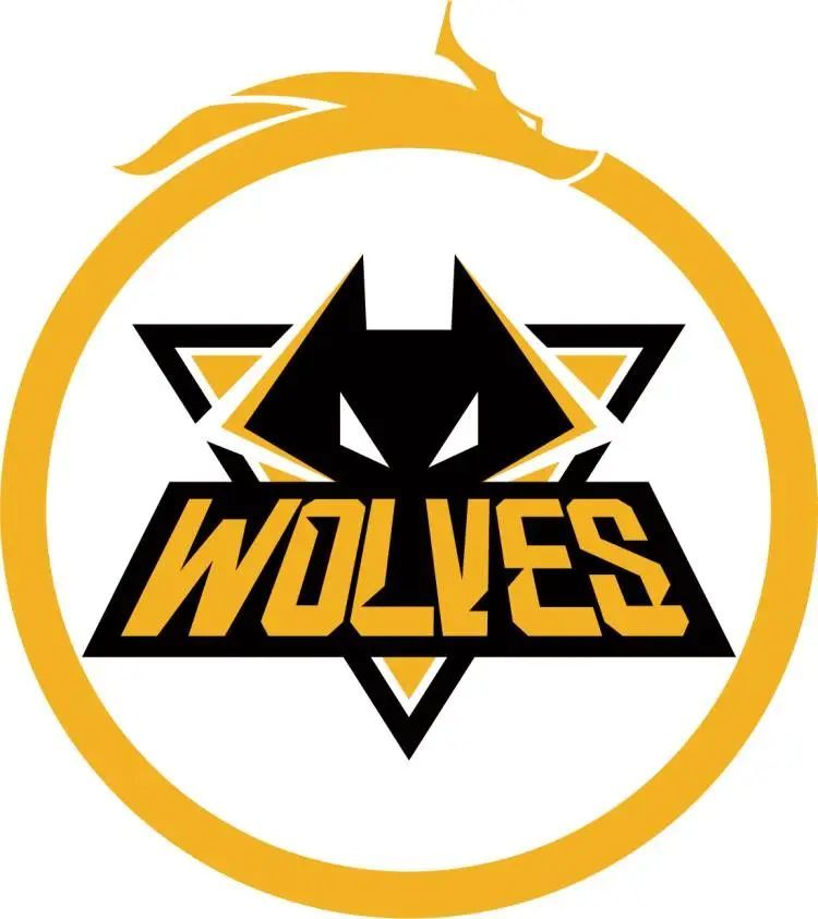 坚定所信，再创辉煌！站在分界线交汇处，见证新十年首冠！ 恭喜JDG京东电子竞技俱乐部勇夺2023LPL春季赛冠军，成功卫冕实现联赛两连冠